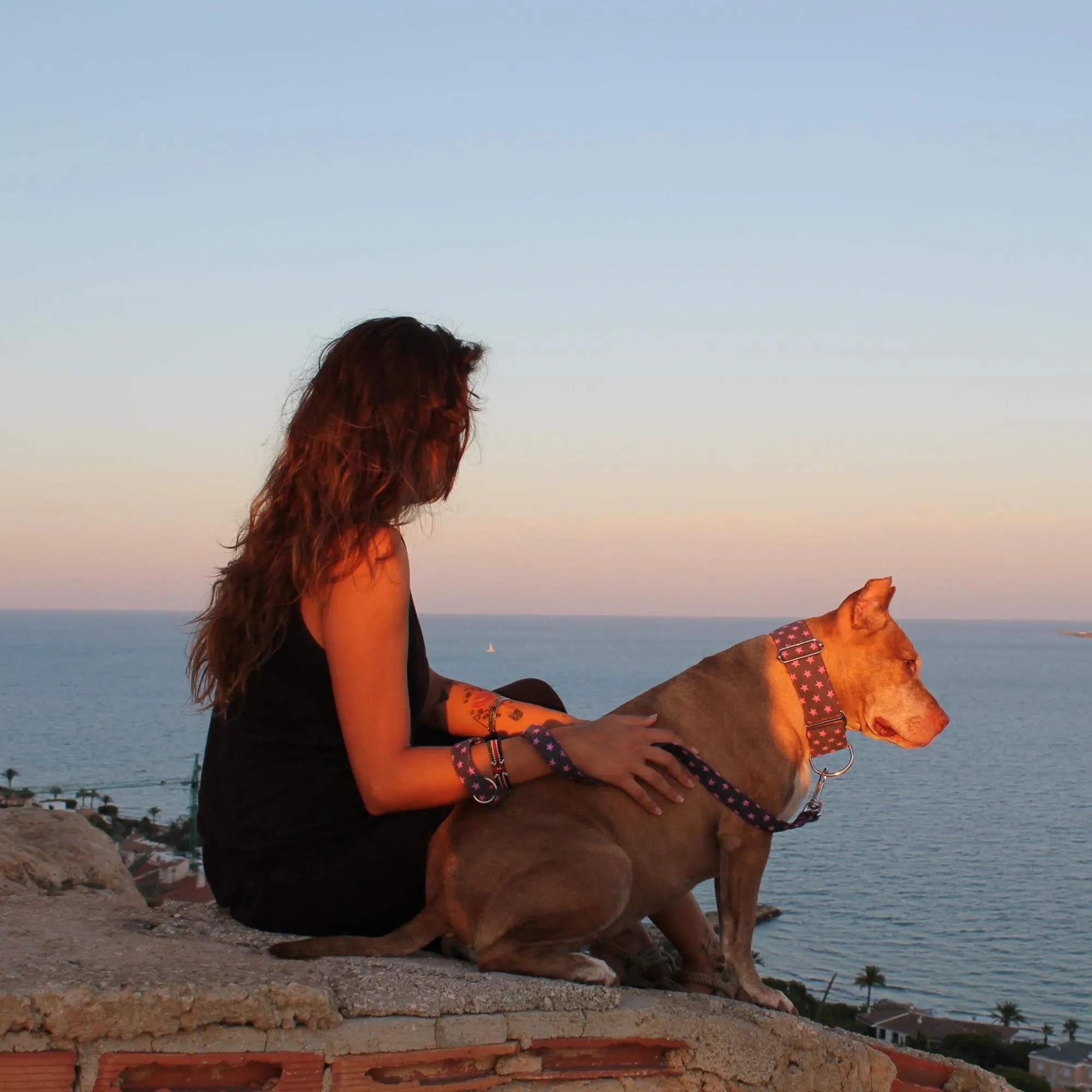Urlaub mit Hund