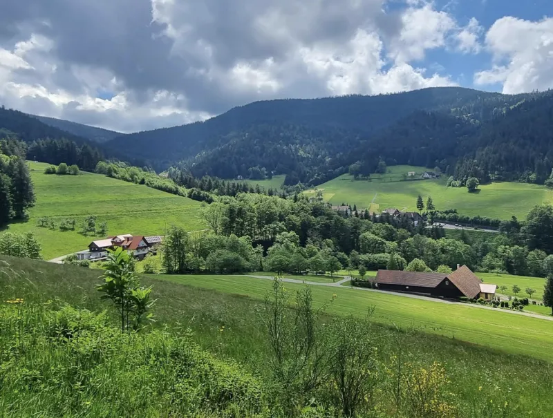 Mathisleweiler