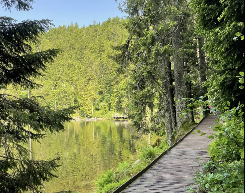 Mummelsee
