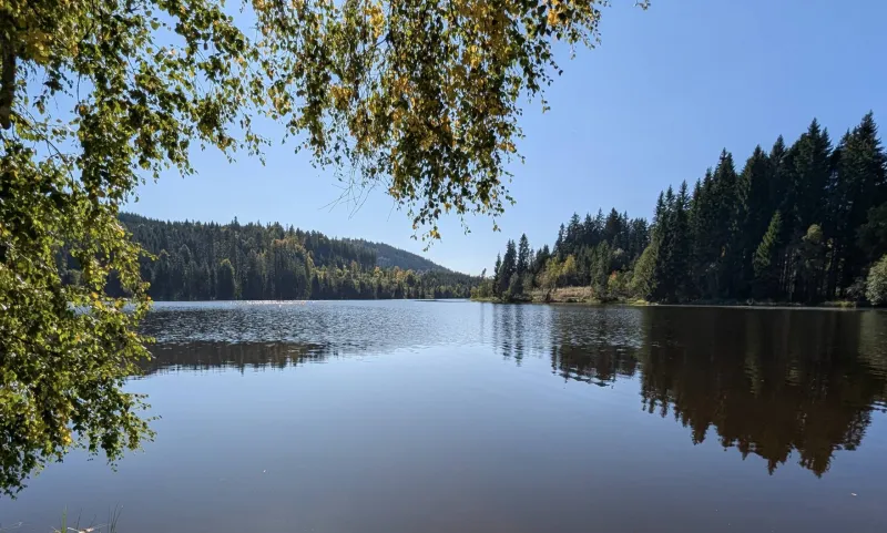 Windgfällweiher