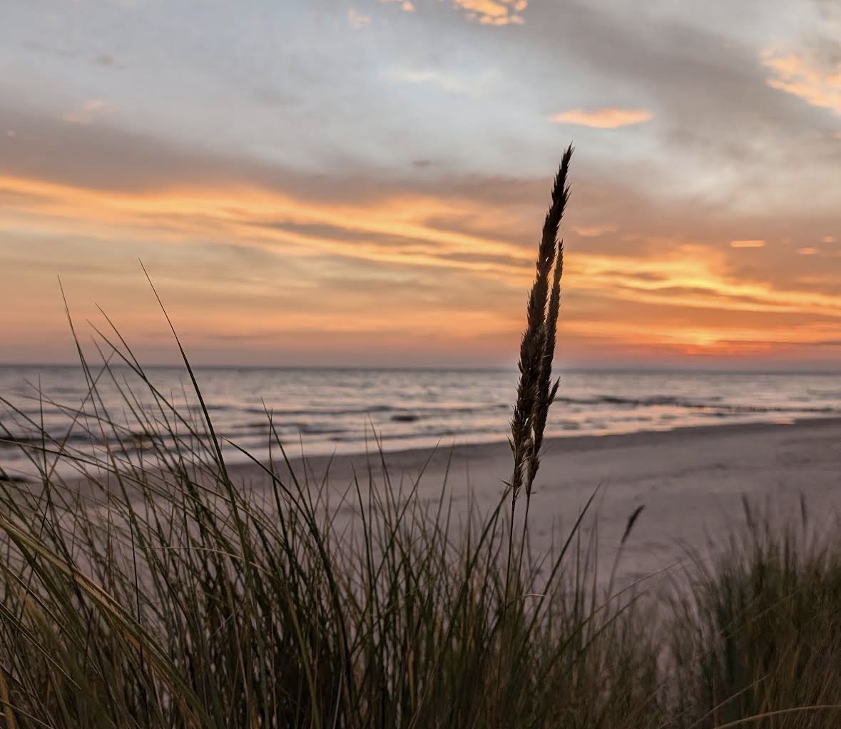 Hundestrand Bansin