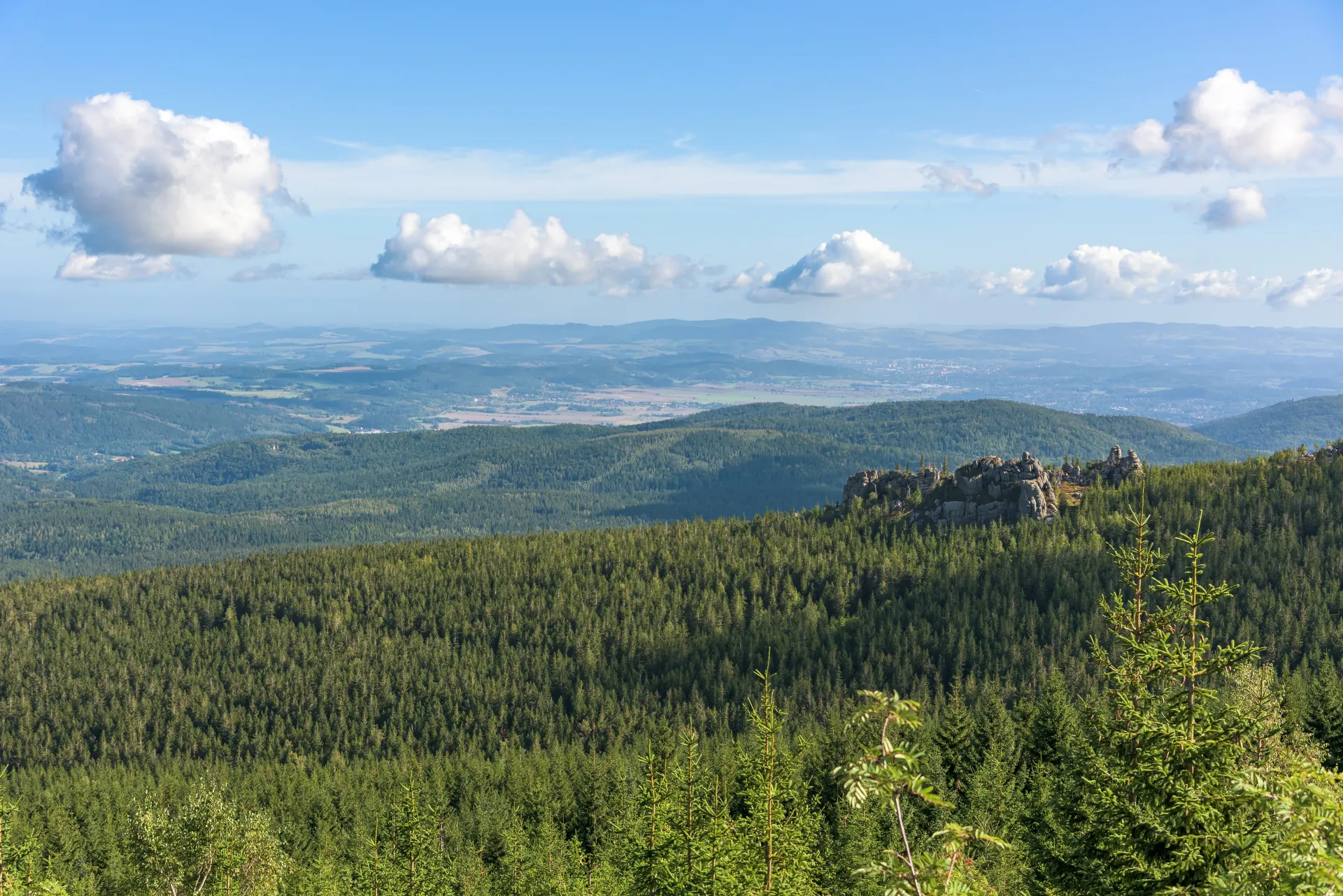 Bayerischer Wald