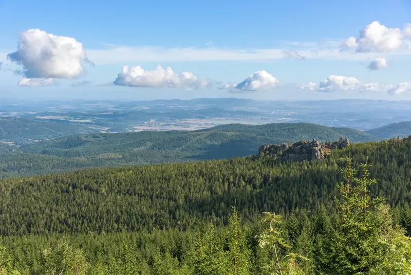 Bayerischer Wald