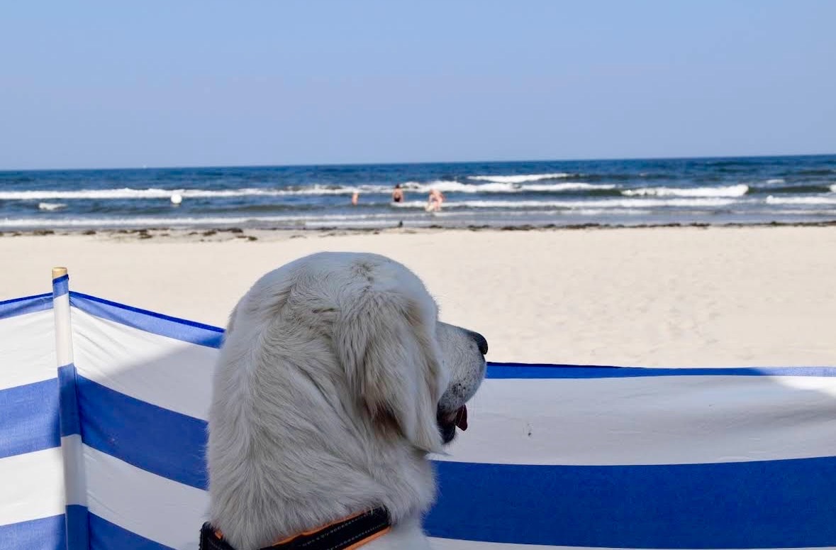 Hundestrand Binz