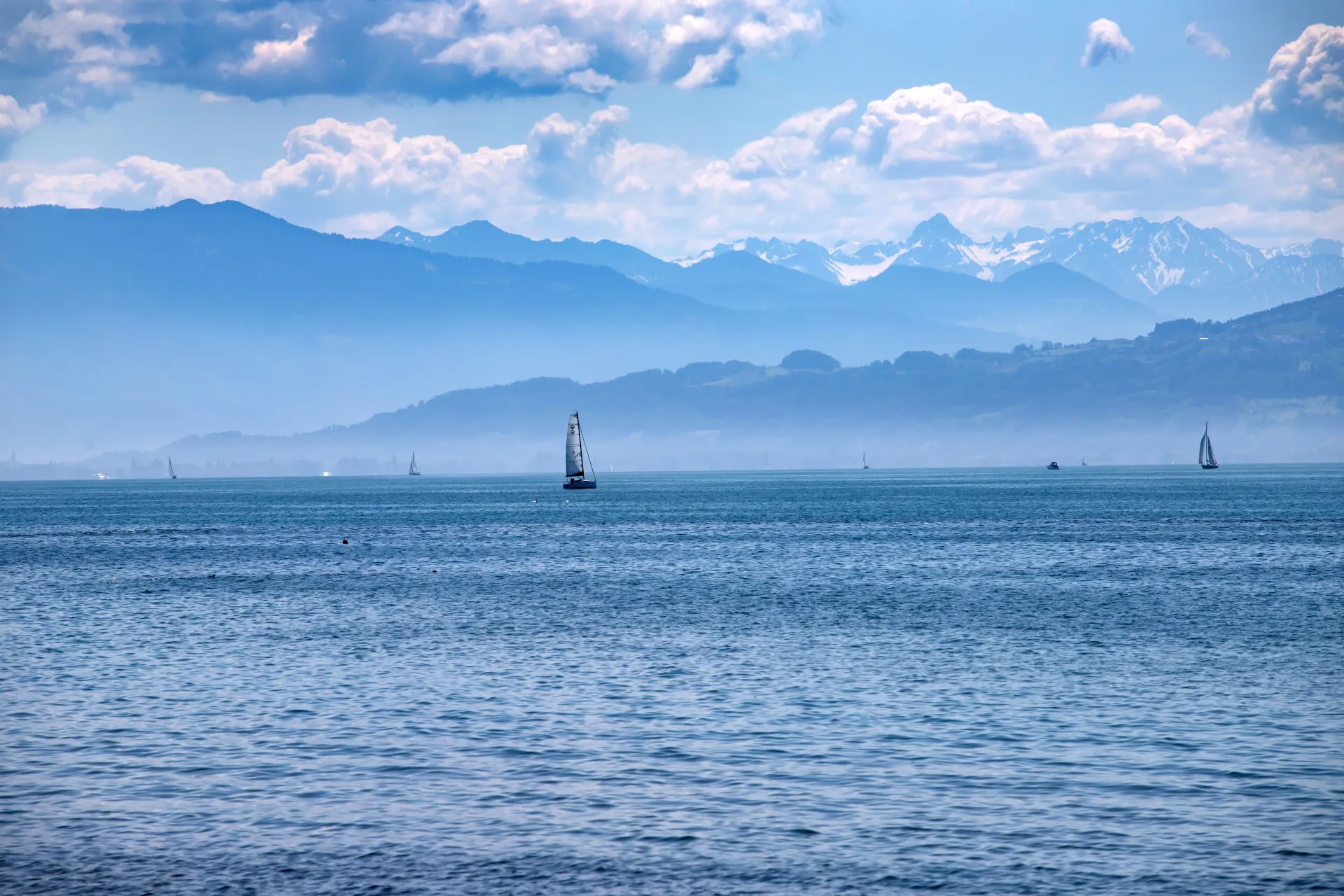 Bodensee mit Hund
