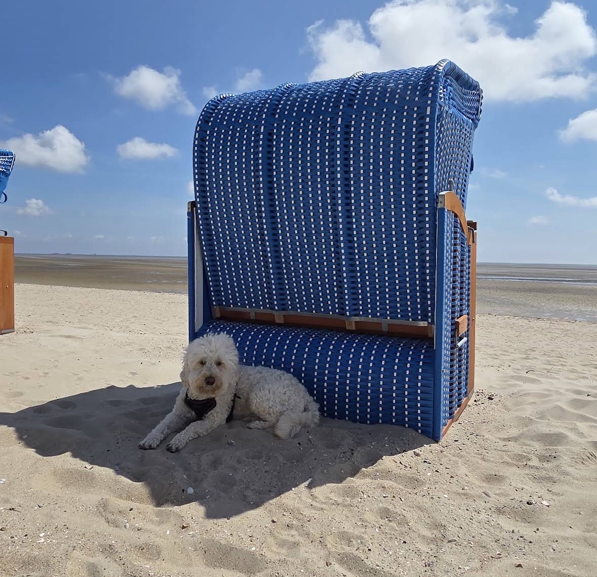 Hundestrand Wyk auf Föhr
