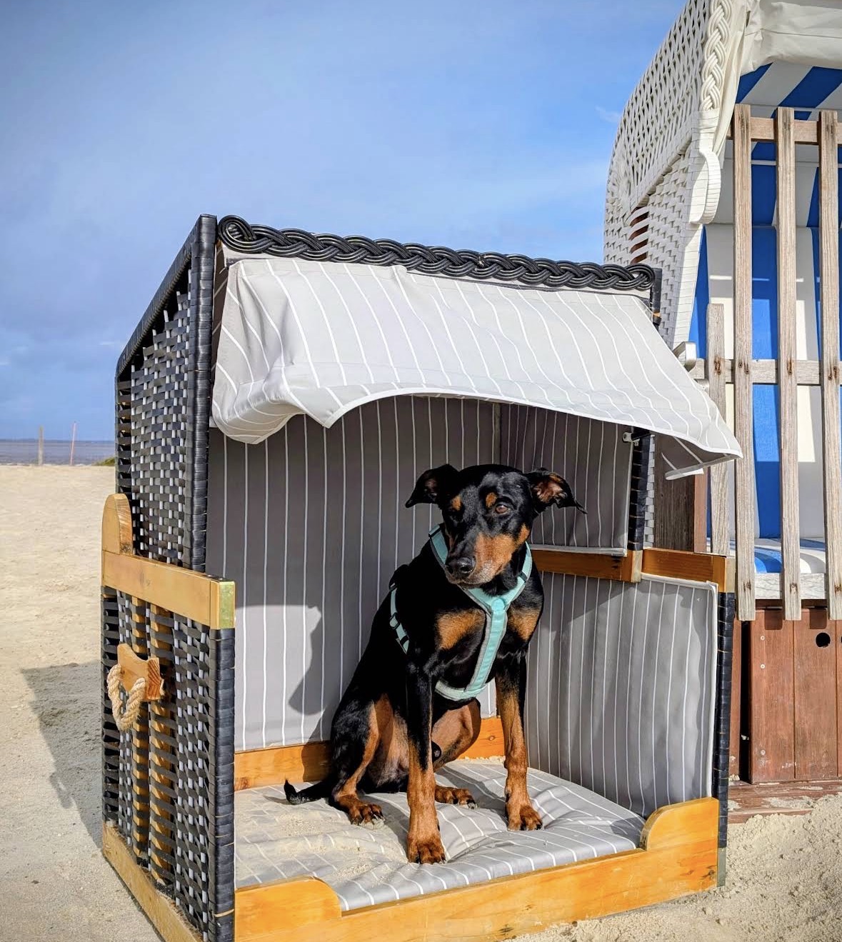 Hundestrand Norddeich