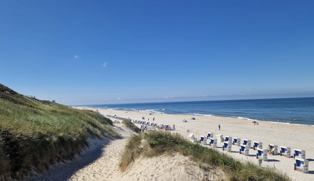 Urlaub mit Hund an der Nordsee