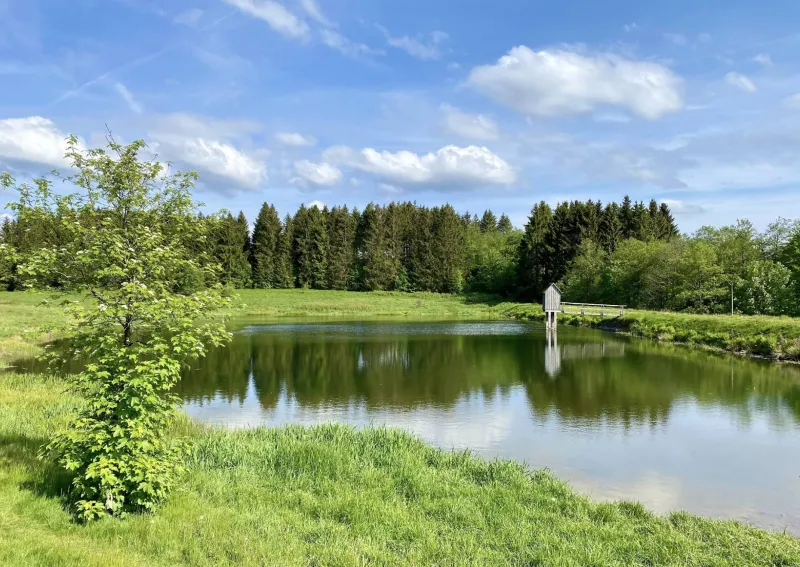 Oberharzer Teiche