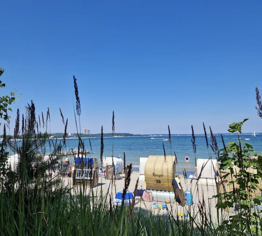 Hund an der Ostsee
