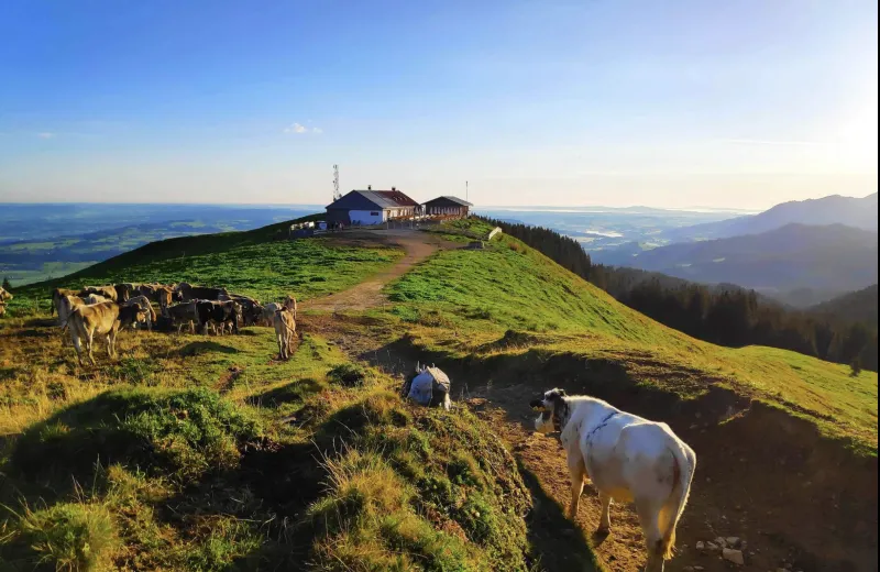 Panoramaweg Grünten