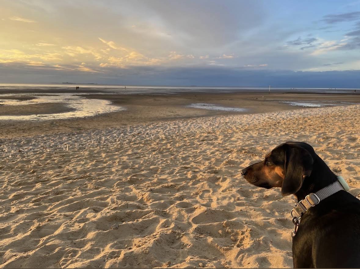 Hundestrand Cuxhaven-Sahlenburg