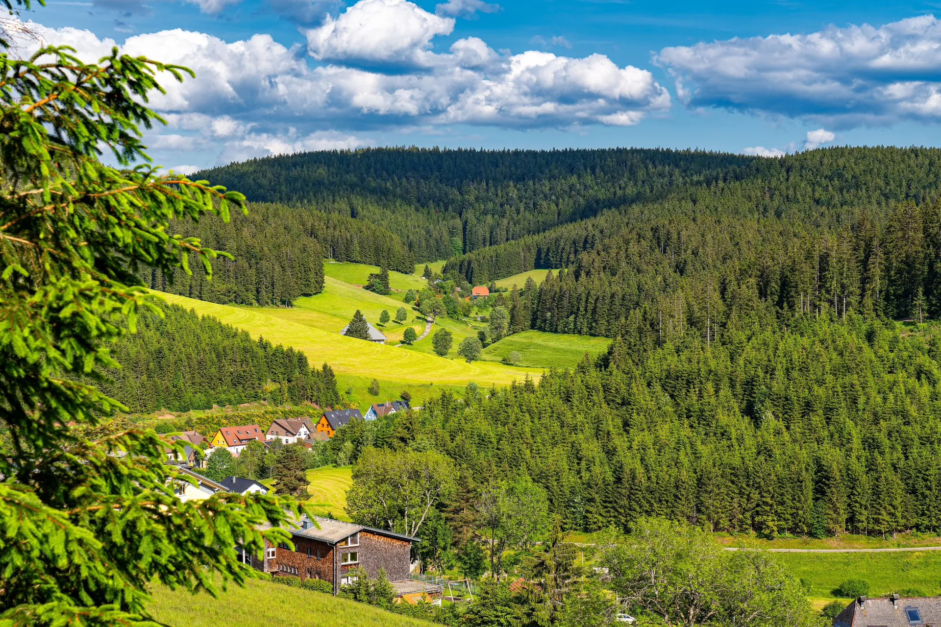 Schwarzwald