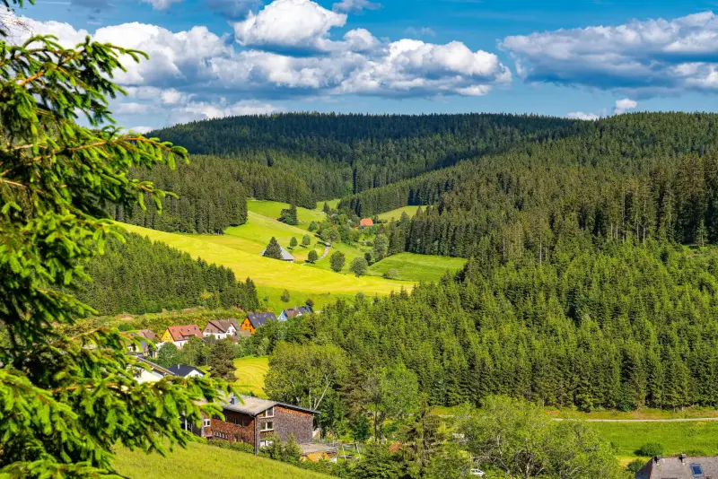 Schwarzwald