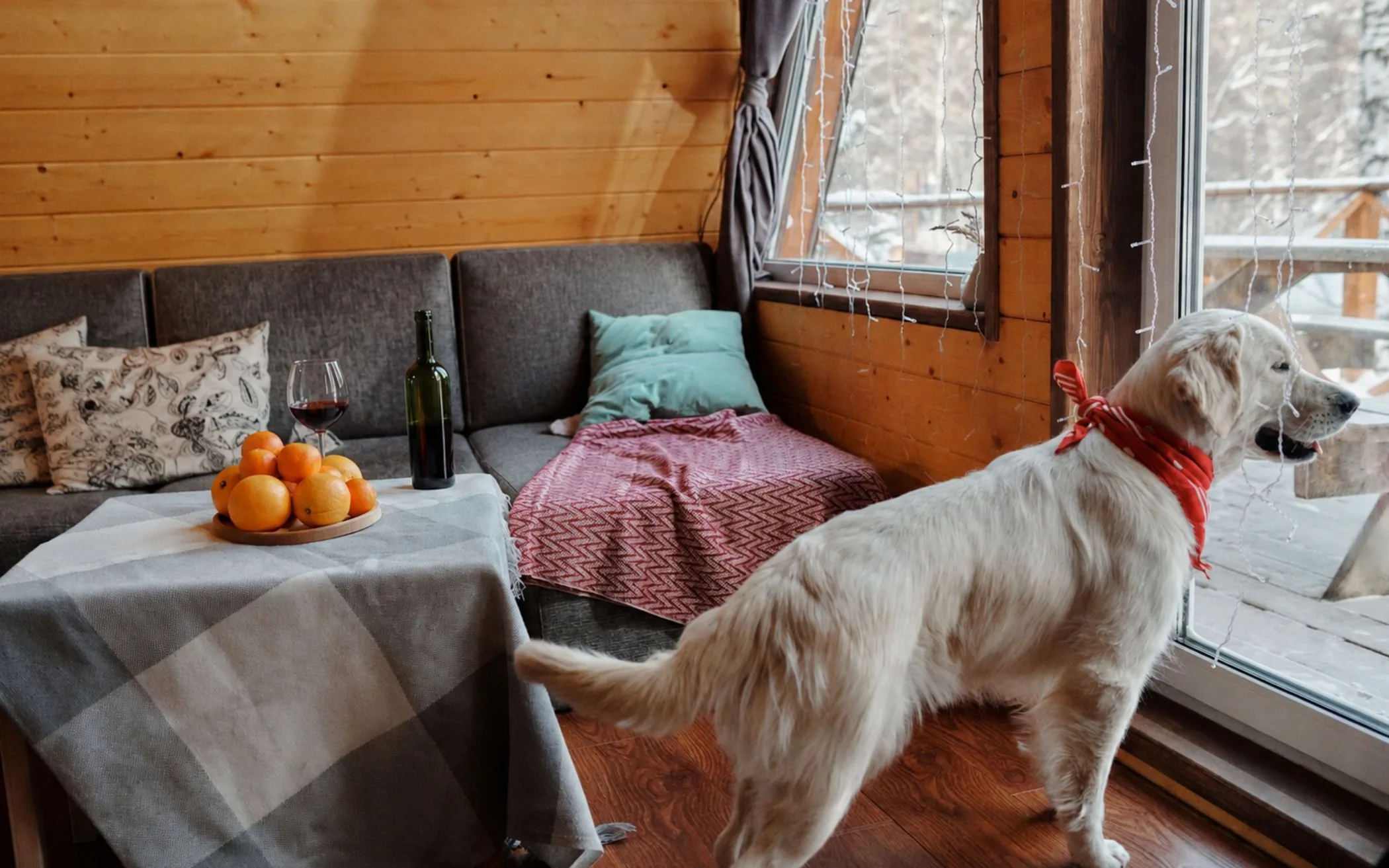 Hund an Silvester in einem Ferienhaus