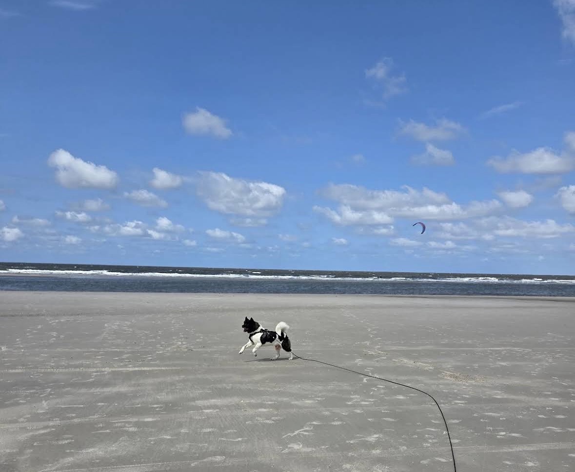Hundestrand St. Peter-Ording