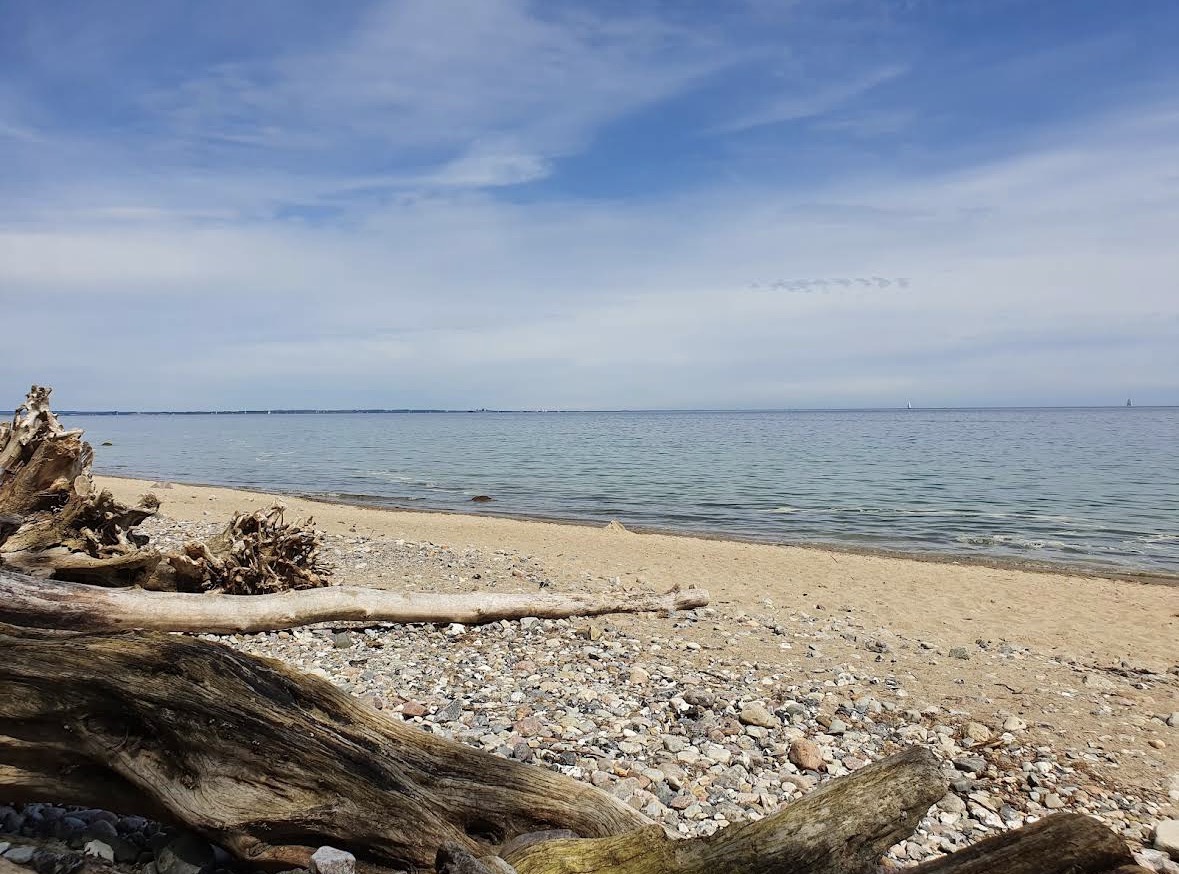 Hundestrand Travemünde