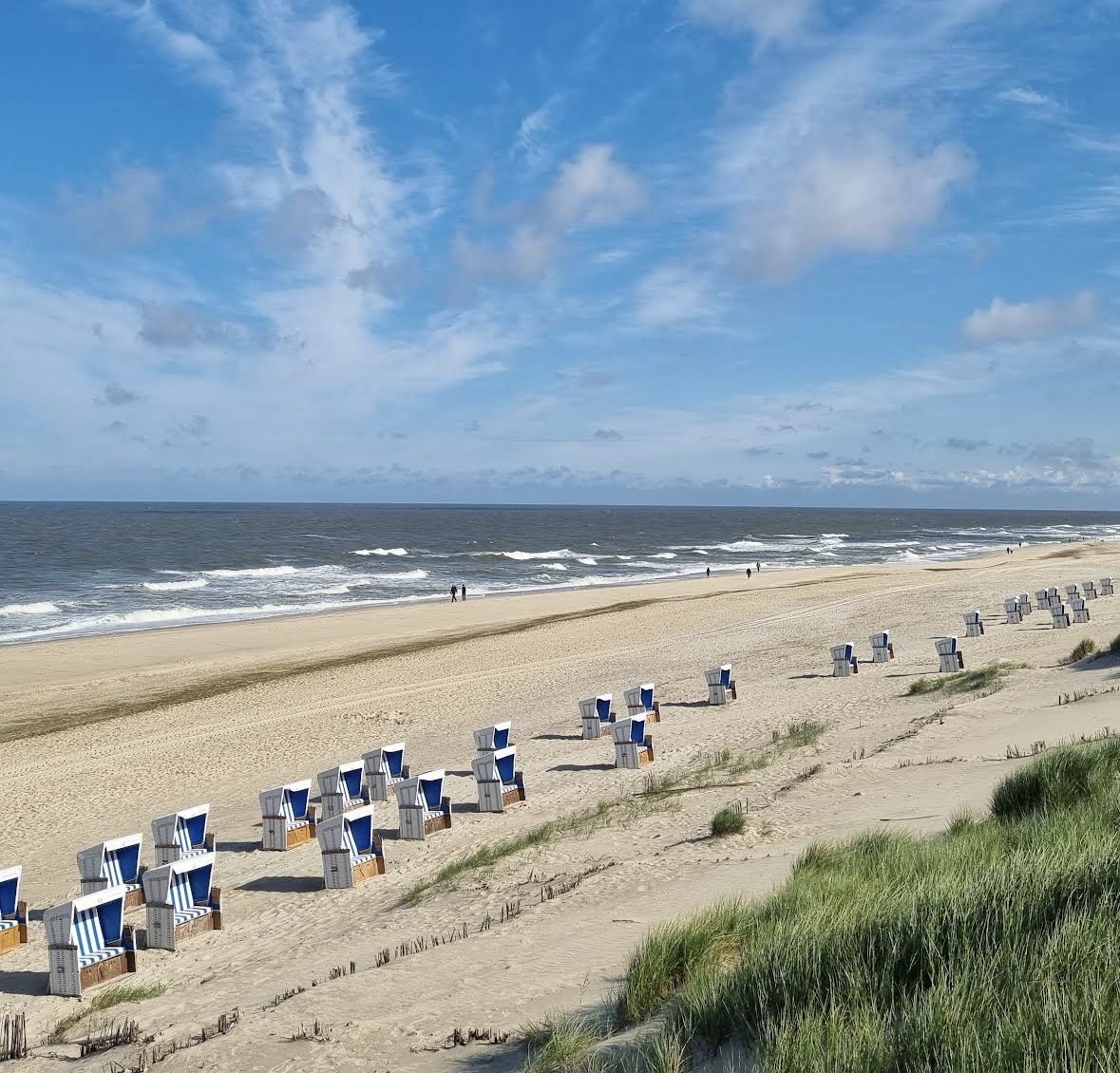 Hundestrand Westerland